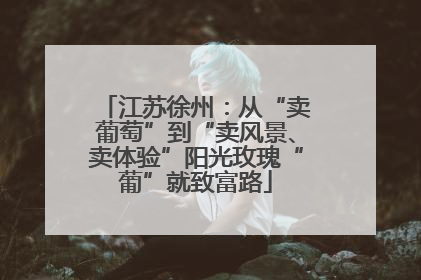 江苏徐州：从“卖葡萄”到“卖风景、卖体验”阳光玫瑰“葡”就致富路