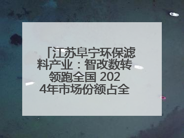 江苏阜宁环保滤料产业：智改数转领跑全国 2024年市场份额占全国三分之一