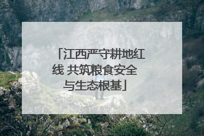 江西严守耕地红线 共筑粮食安全与生态根基