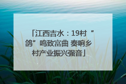 江西吉水：19村“鸽”鸣致富曲 奏响乡村产业振兴强音