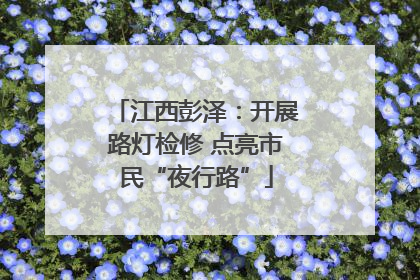 江西彭泽：开展路灯检修 点亮市民“夜行路”