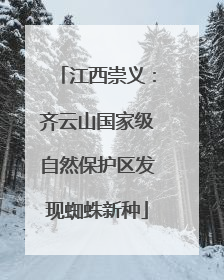 江西崇义：齐云山国家级自然保护区发现蜘蛛新种