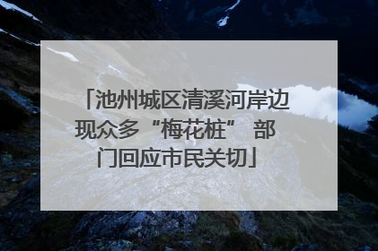 池州城区清溪河岸边现众多“梅花桩” 部门回应市民关切