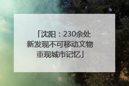 沈阳：230余处新发现不可移动文物重现城市记忆