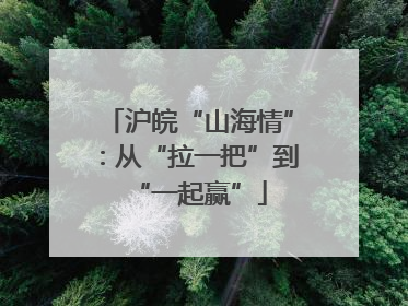 沪皖“山海情”：从“拉一把”到“一起赢”