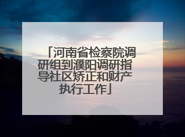 河南省检察院调研组到濮阳调研指导社区矫正和财产执行工作
