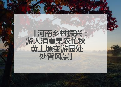 河南乡村振兴：游人消夏果农忙秋 黄土塬变游园处处皆风景