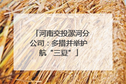 河南交投漯河分公司：多措并举护航“三夏”
