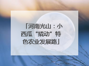 河南光山：小西瓜“撬动”特色农业发展路