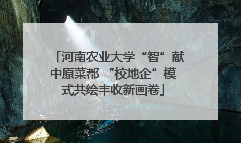 河南农业大学“智”献中原菜都 “校地企”模式共绘丰收新画卷