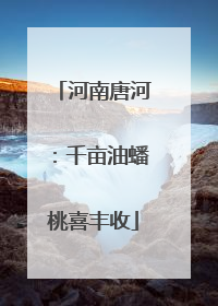 河南唐河：千亩油蟠桃喜丰收