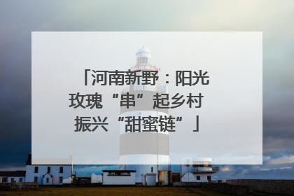 河南新野：阳光玫瑰“串”起乡村振兴“甜蜜链”