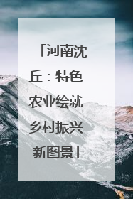 河南沈丘：特色农业绘就乡村振兴新图景