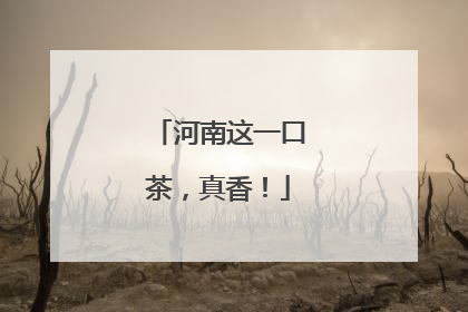 河南这一口茶，真香！