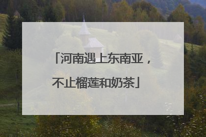 河南遇上东南亚，不止榴莲和奶茶
