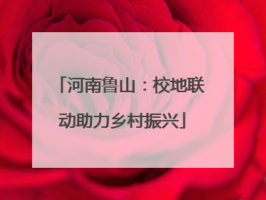 河南鲁山：校地联动助力乡村振兴