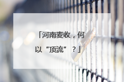 河南麦收，何以“顶流”？