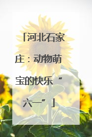 河北石家庄：动物萌宝的快乐“六一”