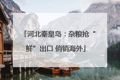 河北秦皇岛：杂粮抢“鲜”出口 俏销海外