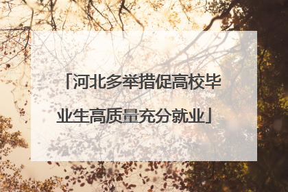 河北多举措促高校毕业生高质量充分就业