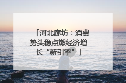河北廊坊：消费势头稳点燃经济增长“新引擎”