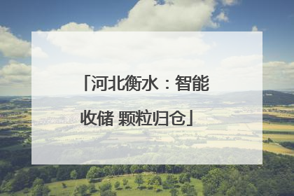 河北衡水：智能收储 颗粒归仓
