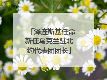 泽连斯基任命新任乌克兰驻北约代表团团长