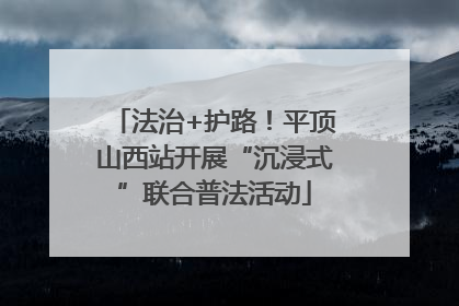法治+护路！平顶山西站开展“沉浸式”联合普法活动