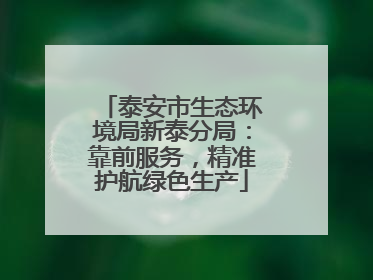 泰安市生态环境局新泰分局：靠前服务，精准护航绿色生产