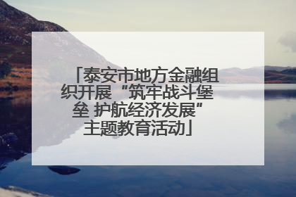 泰安市地方金融组织开展“筑牢战斗堡垒 护航经济发展”主题教育活动