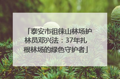 泰安市徂徕山林场护林员邓兴法：37年扎根林场的绿色守护者