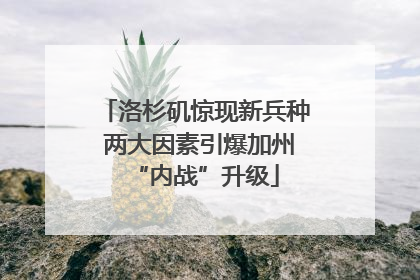 洛杉矶惊现新兵种 两大因素引爆加州“内战”升级