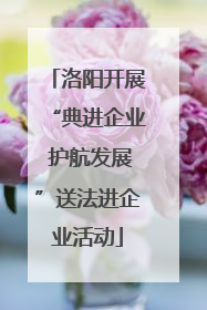 洛阳开展“典进企业 护航发展”送法进企业活动