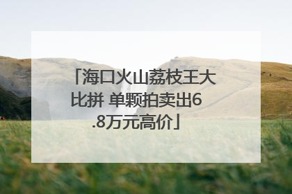 海口火山荔枝王大比拼 单颗拍卖出6.8万元高价