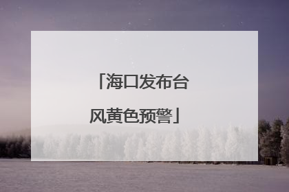 海口发布台风黄色预警