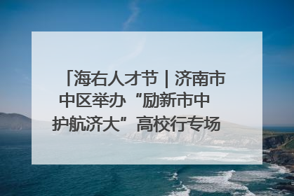 海右人才节｜济南市中区举办“励新市中 护航济大”高校行专场活动暨“青年人才 乐享市中”品牌推介会