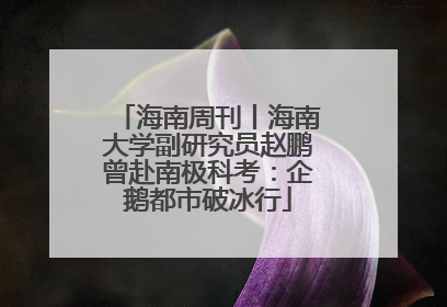 海南周刊丨海南大学副研究员赵鹏曾赴南极科考：企鹅都市破冰行