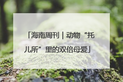海南周刊｜动物“托儿所”里的双倍母爱
