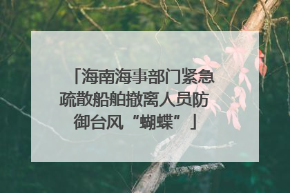 海南海事部门紧急疏散船舶撤离人员防御台风“蝴蝶”
