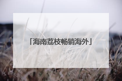 海南荔枝畅销海外