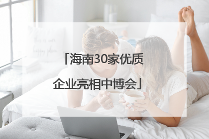 海南30家优质企业亮相中博会