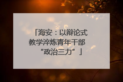 海安：以辩论式教学淬炼青年干部“政治三力”