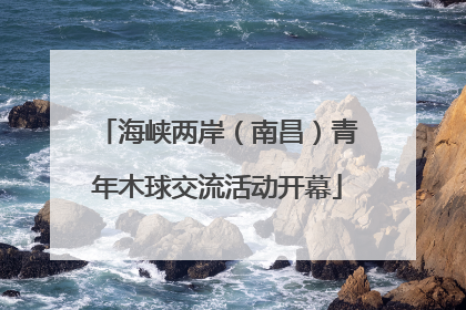 海峡两岸（南昌）青年木球交流活动开幕