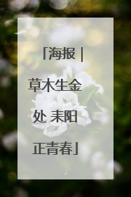 海报｜草木生金处 耒阳正青春
