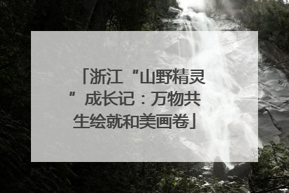 浙江“山野精灵”成长记：万物共生绘就和美画卷
