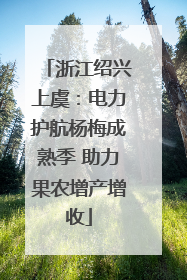 浙江绍兴上虞：电力护航杨梅成熟季 助力果农增产增收