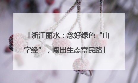 浙江丽水：念好绿色“山字经”，闯出生态富民路