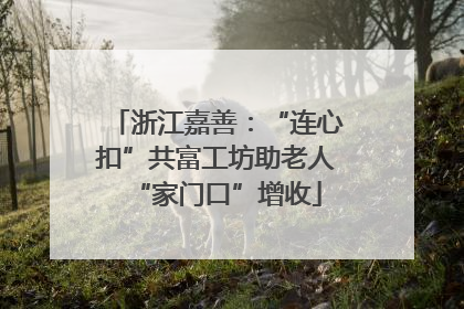 浙江嘉善：“连心扣”共富工坊助老人“家门口”增收