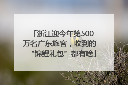 浙江迎今年第500万名广东旅客，收到的“锦鲤礼包”都有啥