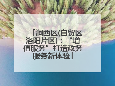涧西区(自贸区洛阳片区)：“增值服务”打造政务服务新体验